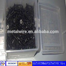 China Drywall Screw WH-DS SGS ISO9001: 2008 Fábrica Direta